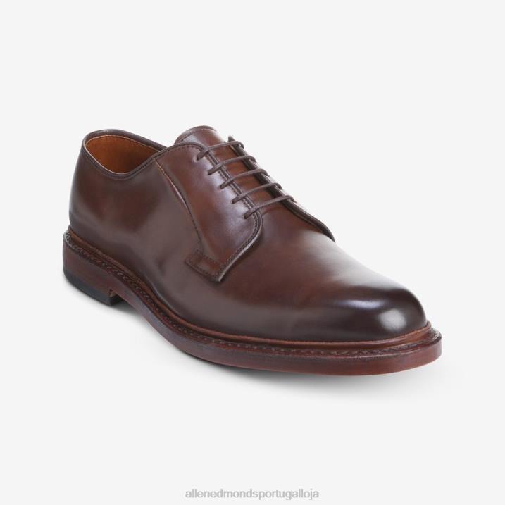 sapato social blucher vestido bico liso leeds 848L73 charuto homensAllen Edmonds
